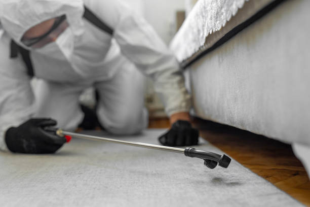 Professional Bed Bug Control technician working in Mount Gilead, NC
