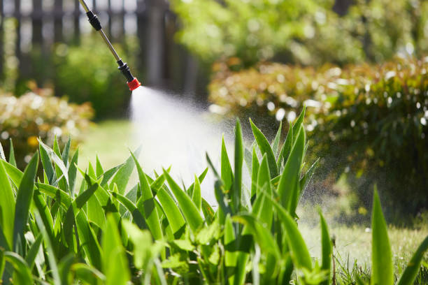 24/7 Emergency Bed Bug Control experts in Mount Gilead, NC