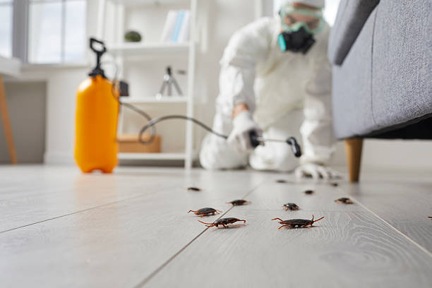 Trusted Termite Control service in Mount Gilead, NC - Nex Pest Control