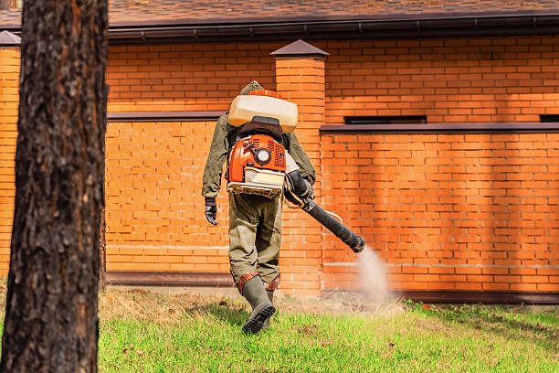 Trusted Emergency Pest Control service in Mount Gilead, NC - Nex Pest Control